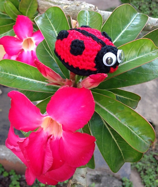 Little Ladybird (Amigurumi)