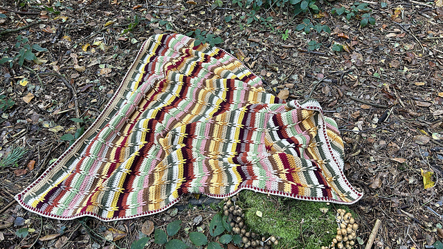 Fall Into Autumn Blanket
