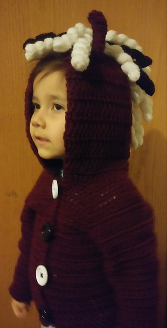 Button Up Pony Sweater
