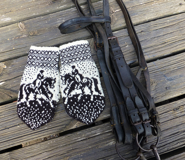 Valegro dressage horse mittens