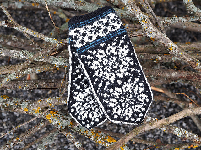Vega mittens