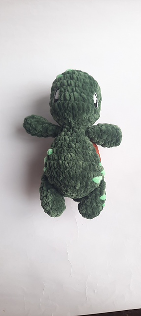 Finn the Turtle