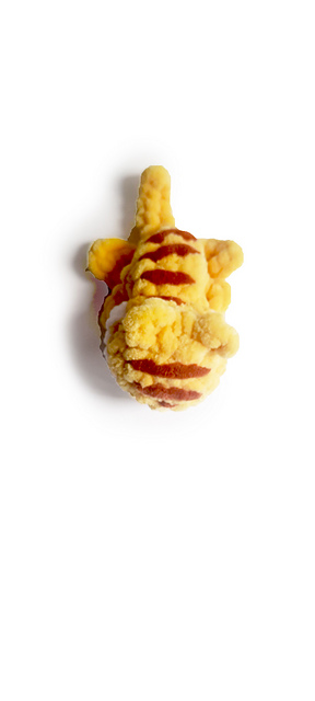 Tiny the Tiger