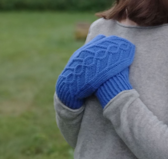 Aves Mittens