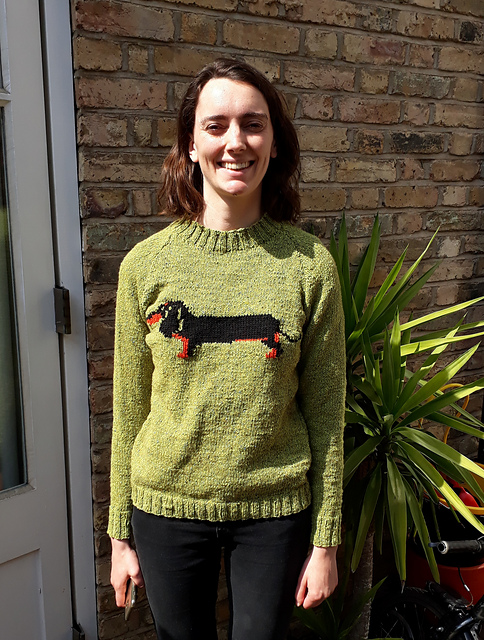 Dachshund Adult Raglan Sweater