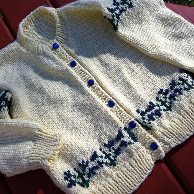 Blueberry Cardigan