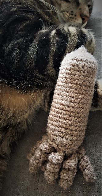 Tube with Spirals Cat Toy