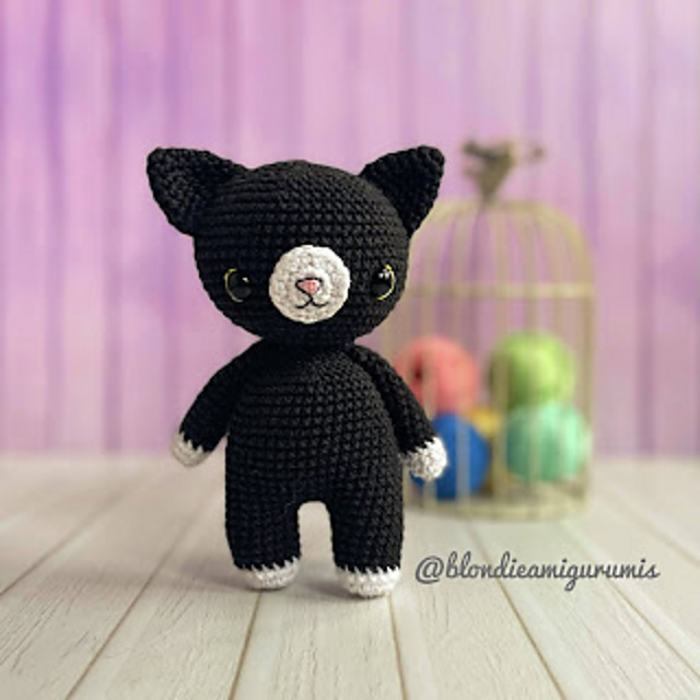 Velvet the cat
