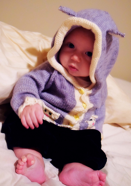 Little Lambie Hooded Cardigan