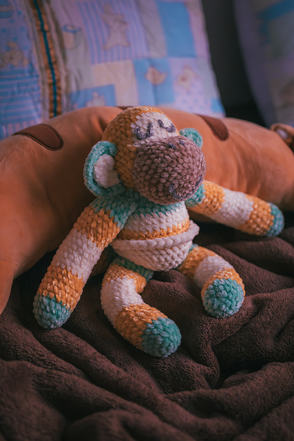 Bluey inspired Mr Monkeyjocks