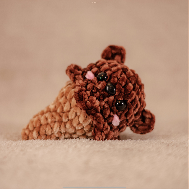 Bear icecream
