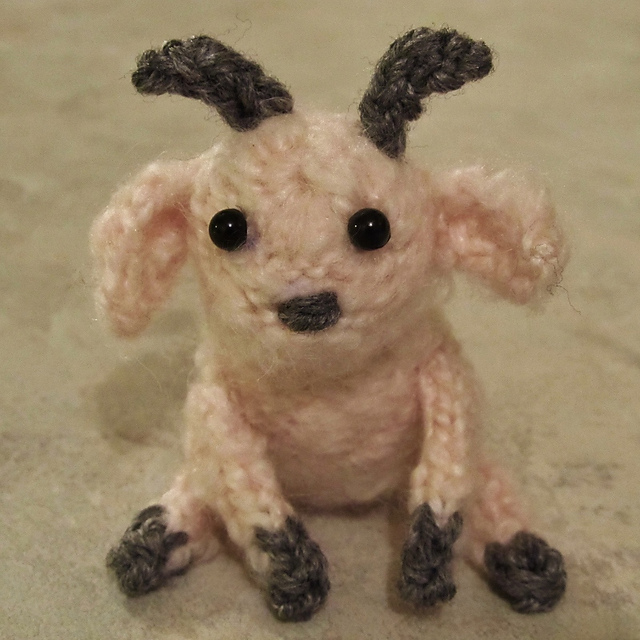 Capricorn