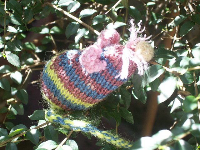KNITopo