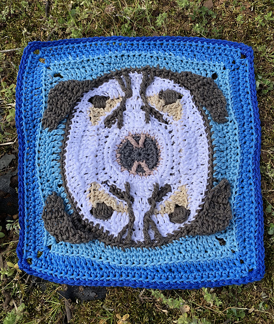 Pepe the Sled Dog Square