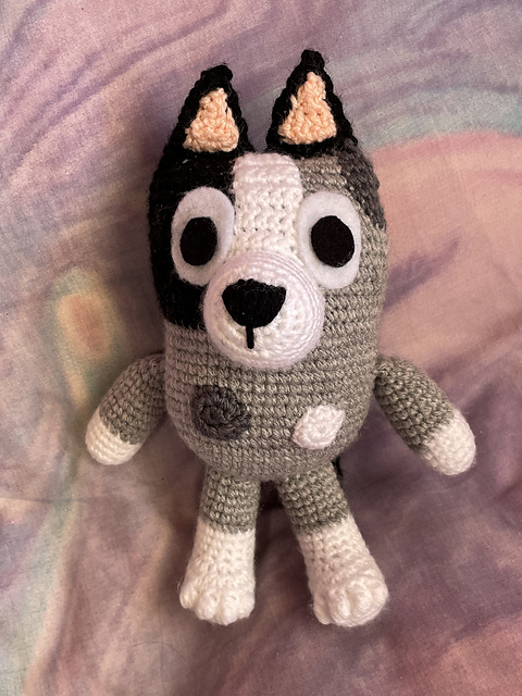Muffin the Grey Heeler Puppy