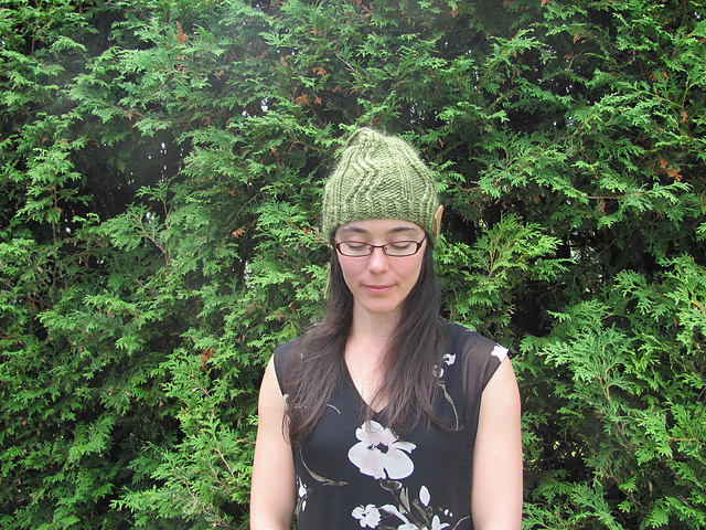 Tuque fleuve d'hiver