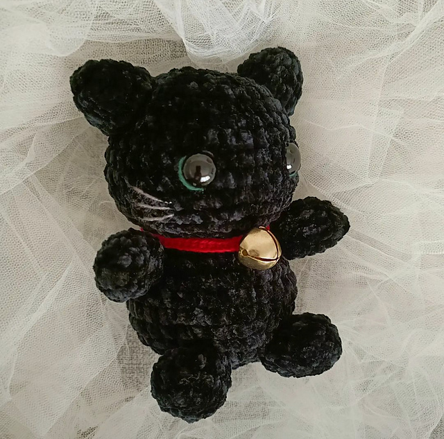 Black cat