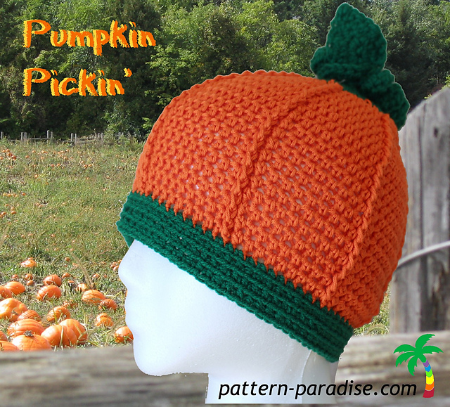 Pumpkin Pickin' Hat 14-159