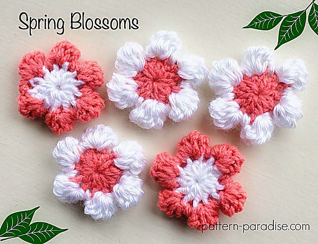 Spring Blossoms
