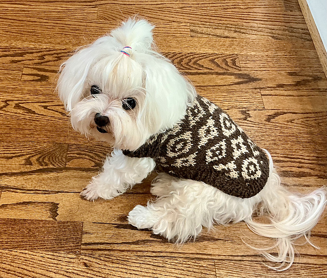 Little Louis Pet Sweater
