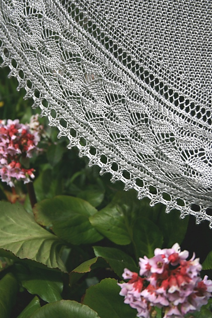 Monarch Butterfly Shawl
