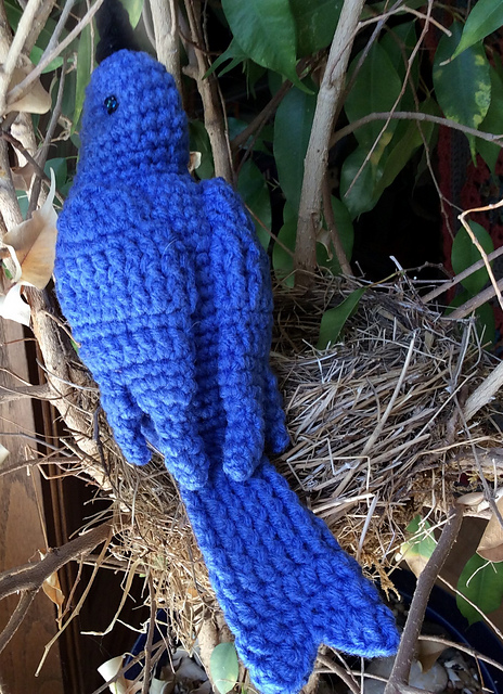 bluebird_nest_medium2.jpg