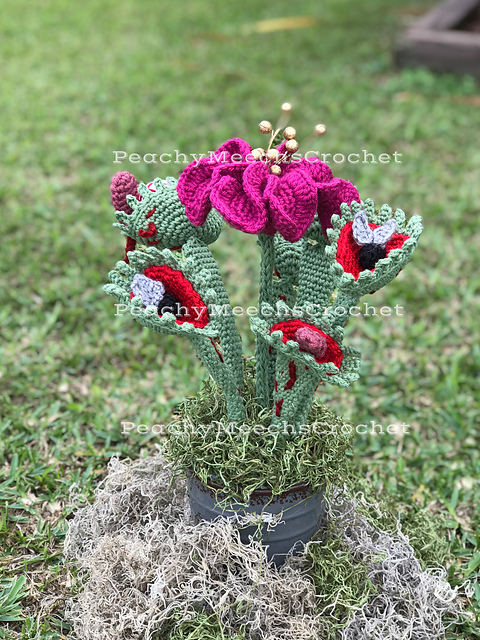 Ravelry: Venus Fly Trap. Carnivorous Plant pattern by Peachy