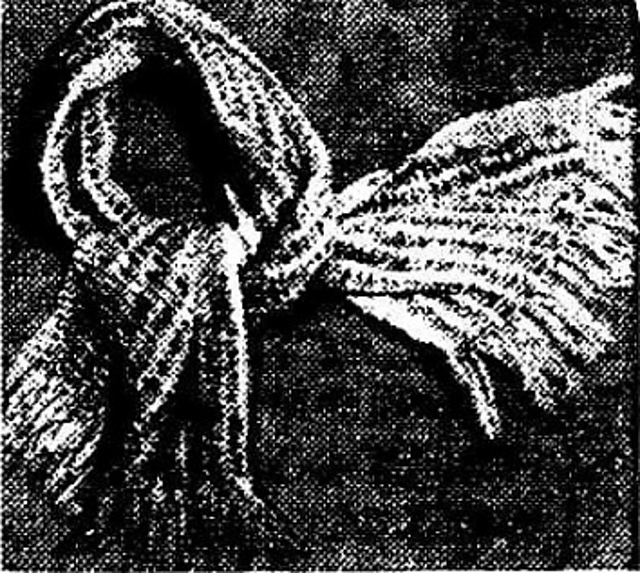 Knitted Scarf for ½ Coupon