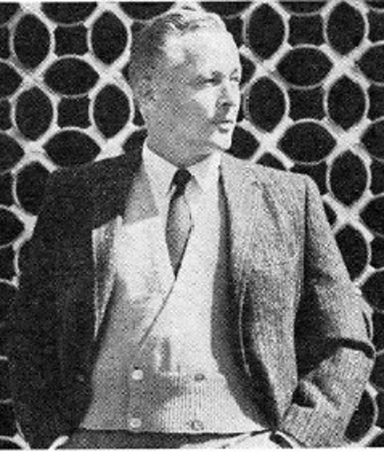 Man's Vest