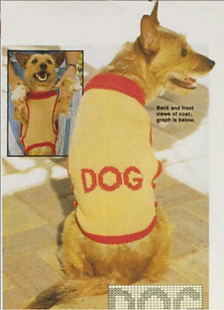 Doggone Style!