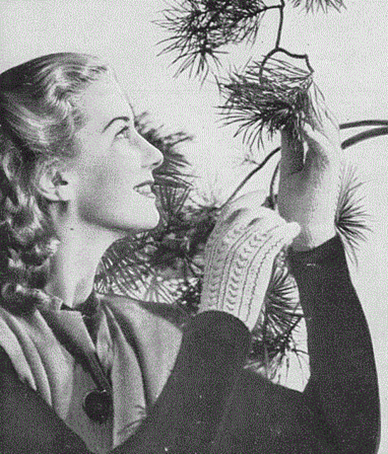 Lady's Gloves