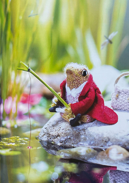 Ravelry: Mr. Jeremy Fisher pattern by Claire Garland
