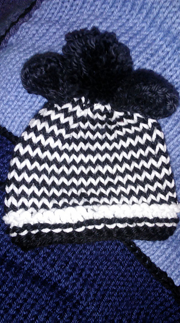 Zebra Preemie hat