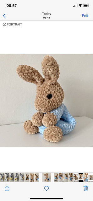 The little bunny lovey