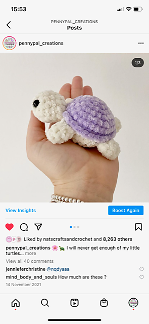 Baby Turtle
