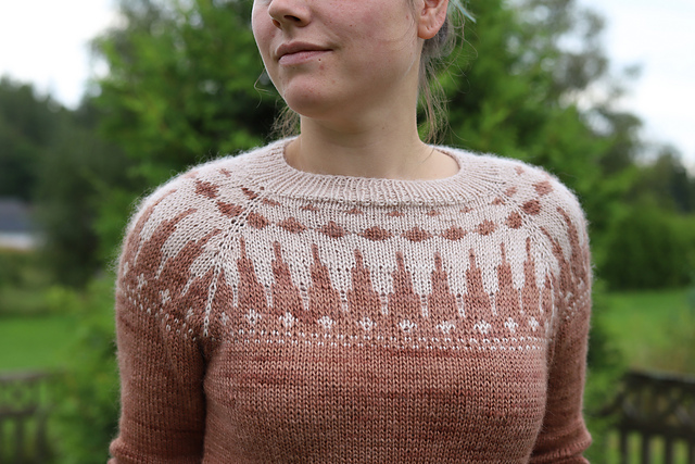Sussie Sweater