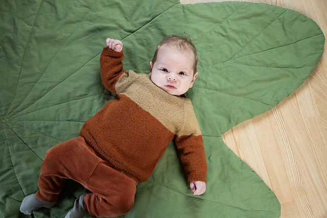 Basic Raglan Baby