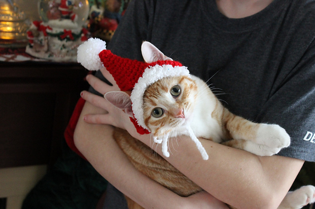 Santa Kitty Hat