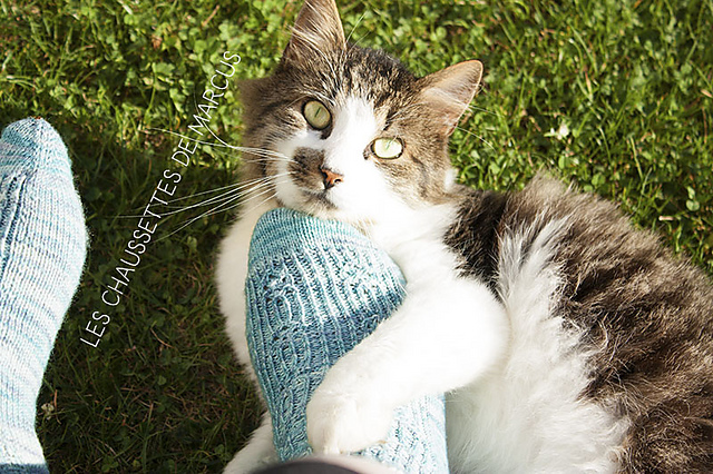 Les chaussettes de Marcus