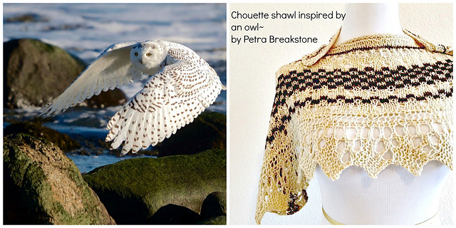 Chouette Shawlette