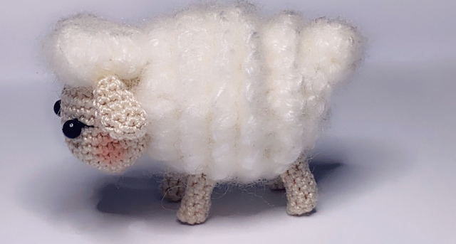 Nativity Sheep