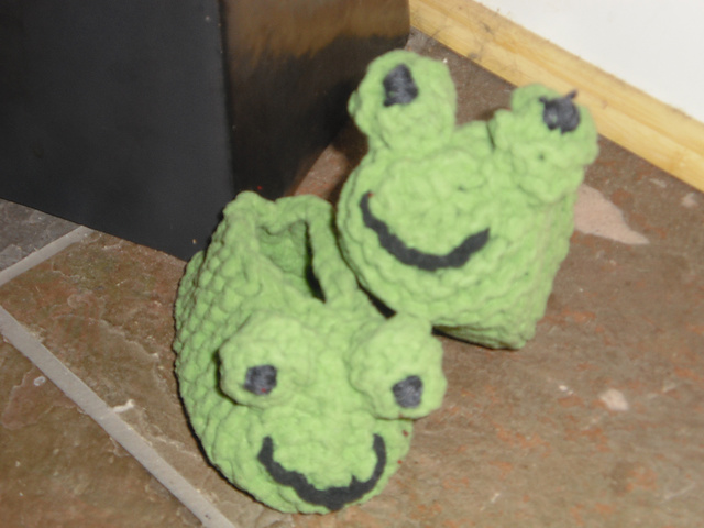 Froggy Slippers