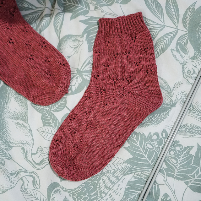 Blackberry Picking Socks