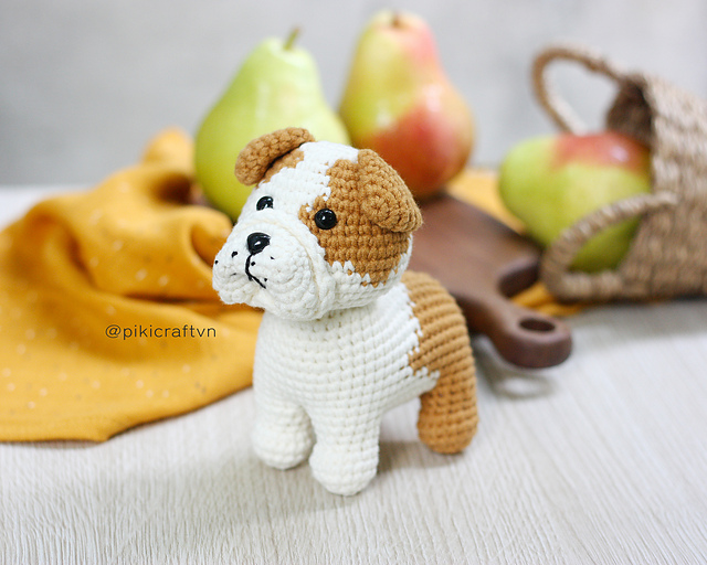English Bulldog Standing