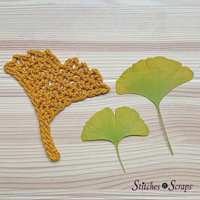 Ginkgo Leaf