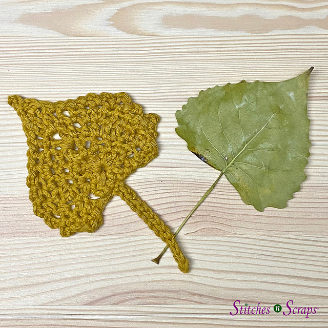 Eastern Cottonwood Leaf