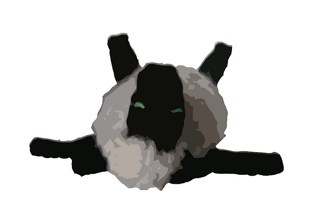 Lay Flat to Dry Sheep