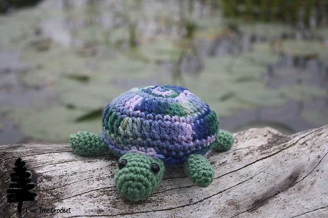 Tammy the Turtle