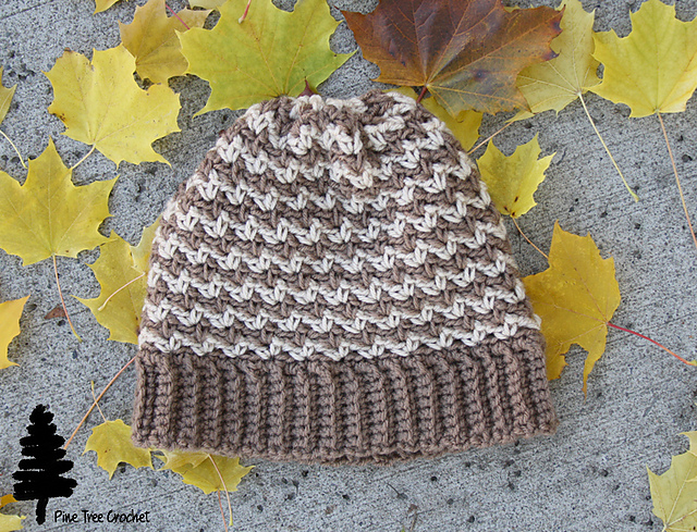Autumn Crunch Beanie
