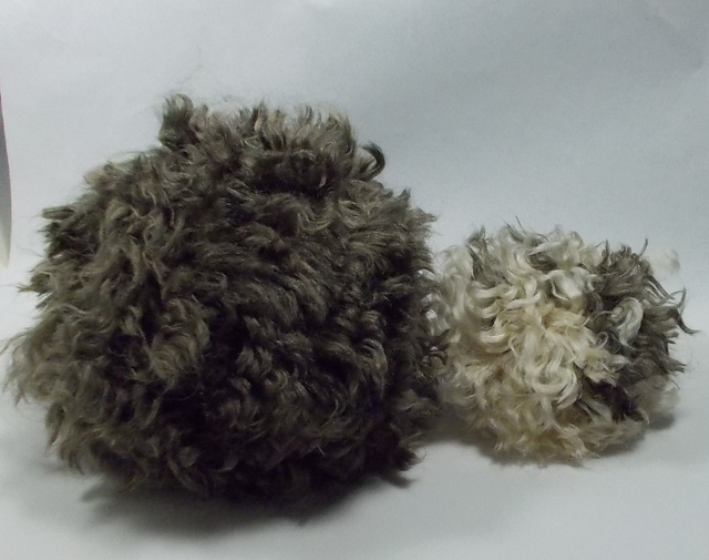 Troublesome Tribbles